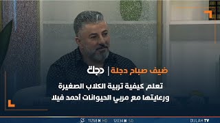 تعلم كيفية تربية الكلاب الصغيرة ورعايتها مع مربي الحيوانات أحمد ...