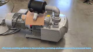 Dry Rotary Vane Vacuum Pump | Oil-Free Clean Industrial Vacuum System 🌿