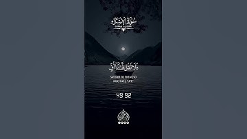#أرح قلبك و سمعك بكلام الله 🍂📖🤍 #القارئ عبدالعزيز يوسف🌻🎧🎙️ #ارح سمعك وقلبك #islamicreminder 1