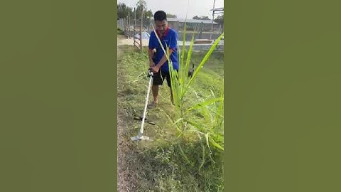 🌿 MÁY CẮT CỎ YAMASU YMS MCC01 PIN 21V – GỌN NHẸ, HIỆU QUẢ, ĐẲNG CẤP!