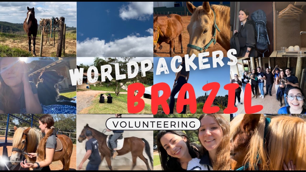 Волонтерство с лошадьми в Бразилии! 2 semanas de voluntariado no rancho Passo a Passo em Itatiba 🇧🇷