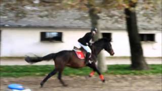 Rider's Club 20151025 Hv 100 Öv Frank Luca Princes