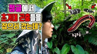 진짜 정글에서'초대형곤충' 잡았다!!진짜ㅋㅋㅋ와~~~~[정브르]/in mindoro forest