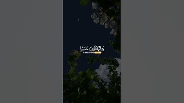 إن الله وملائكته يصلون على النبي - القارئ حسام الدين عبادي