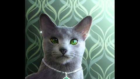 Digital Painting Inspirations -  Paint Cat