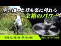 京セラの充電式刈払機（草刈り機）　生い茂った草もラクに刈れる、ハイパワータイプ