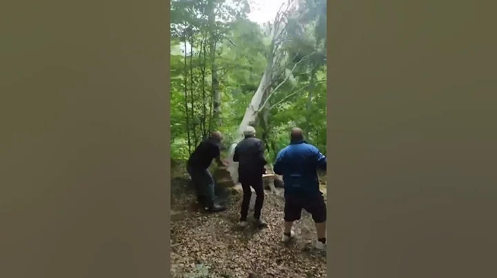 Adventures in the Woods. Redneck tales.
