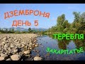 Карпаты: День 5 / Дземброня / Грибы / Нижняя Апша / Закарпатье / Теребля