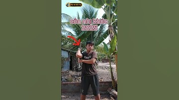 côn nhị khúc #10000subscriber #xuhung #tiktok #youtube