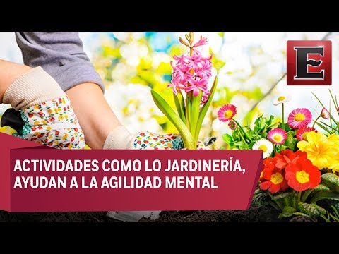 Video: Vida Cotidiana Multicolor De La Ciencia