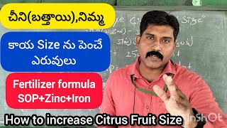 చీని(బత్తాయి), నిమ్మ కాయ Size ను పెంచే ఎరువులు. How to Increase Citrus fruit Size. by Dr.RSS.