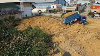 Full Video 3H! Technique Land filling Operator Bulldozer D53p Komatsu Push the soil And Dump Truck