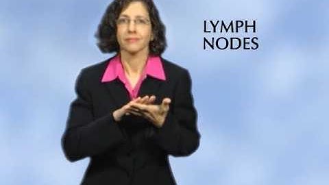 What is the Lymph System?