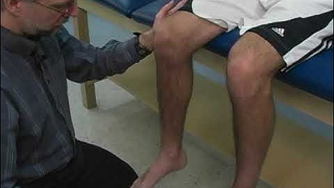 MMT Group Hip External Rotation (ER)