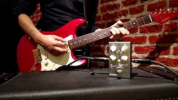 TRUE SPRING REVERB "SOURCE AUDIO" demo by CHRISTIAN COCCIA.