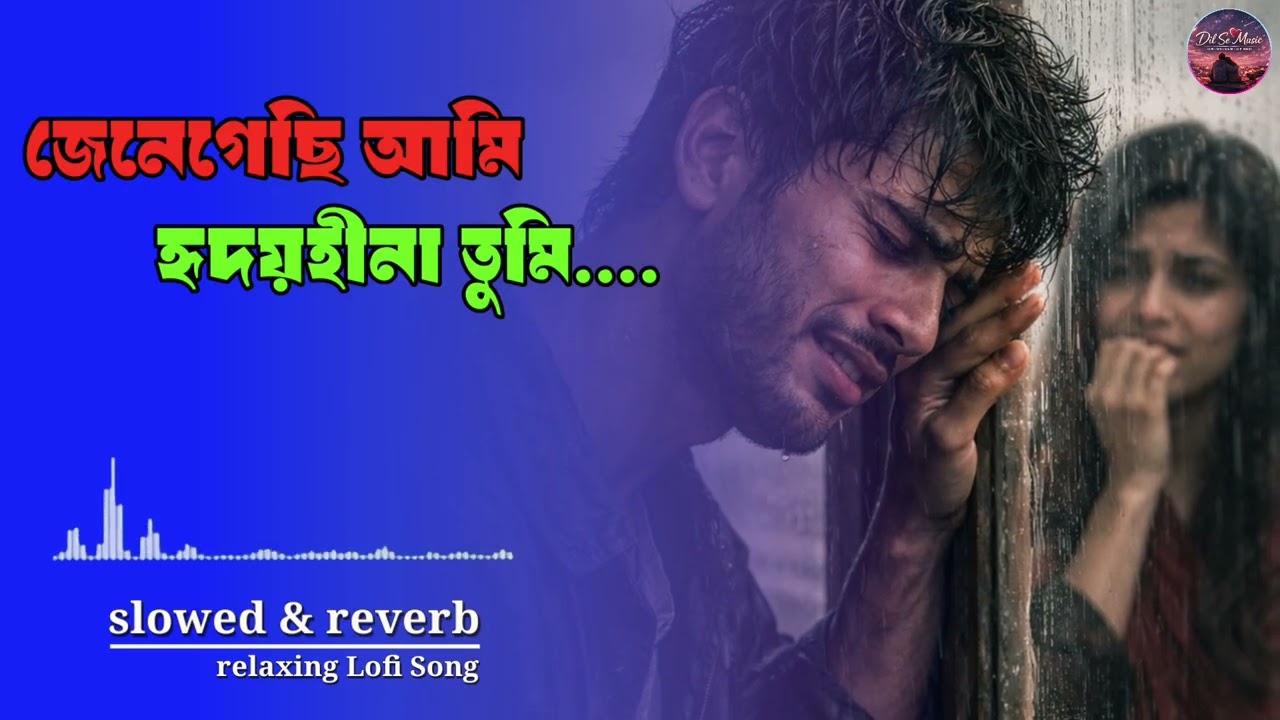 জেনে গেছি আমি হৃদয়হীনা তুমি ~ bangla lo-fi song || relaxing song bangla || #dilsemusic 