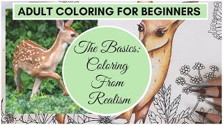 Learn to Color From Realism using A Photo | ADULT COLORING FOR BEGINNERS SERIES