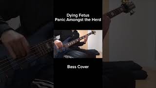 Dying Fetus - Panic Amongst the Herd 【Bass Cover】#shorts