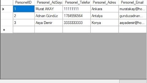 C# Datagridview Üzerinde Güncelleme Yapma(Access Veritabanı)