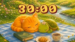30 Minute Timer | Classroom Timer Lo-fi Rainy Focus 🌧️