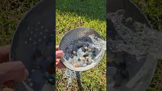 Tumbled #stone #speed up process. Perch Creek #agate #treasure #crystals #nature #rockhounding #rock