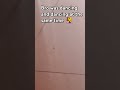 ♪