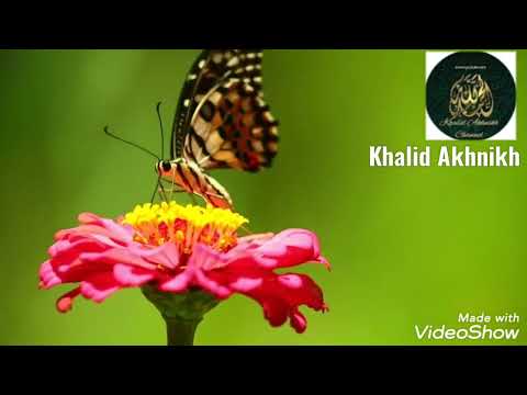 دعاء بصوت الطفل أيوب جميل جدا يثلج القلوب