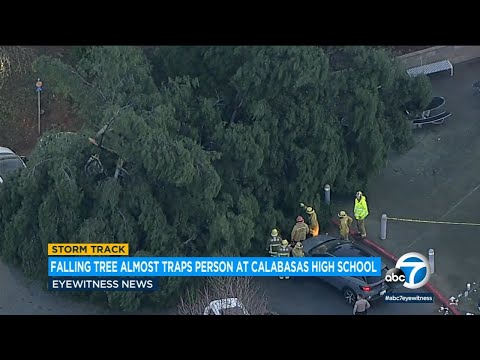 Person rescued from falling tree outside Calabasas High School