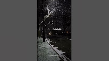 Surah Al-Qalam | The Pen ✒️ | سورة القلم