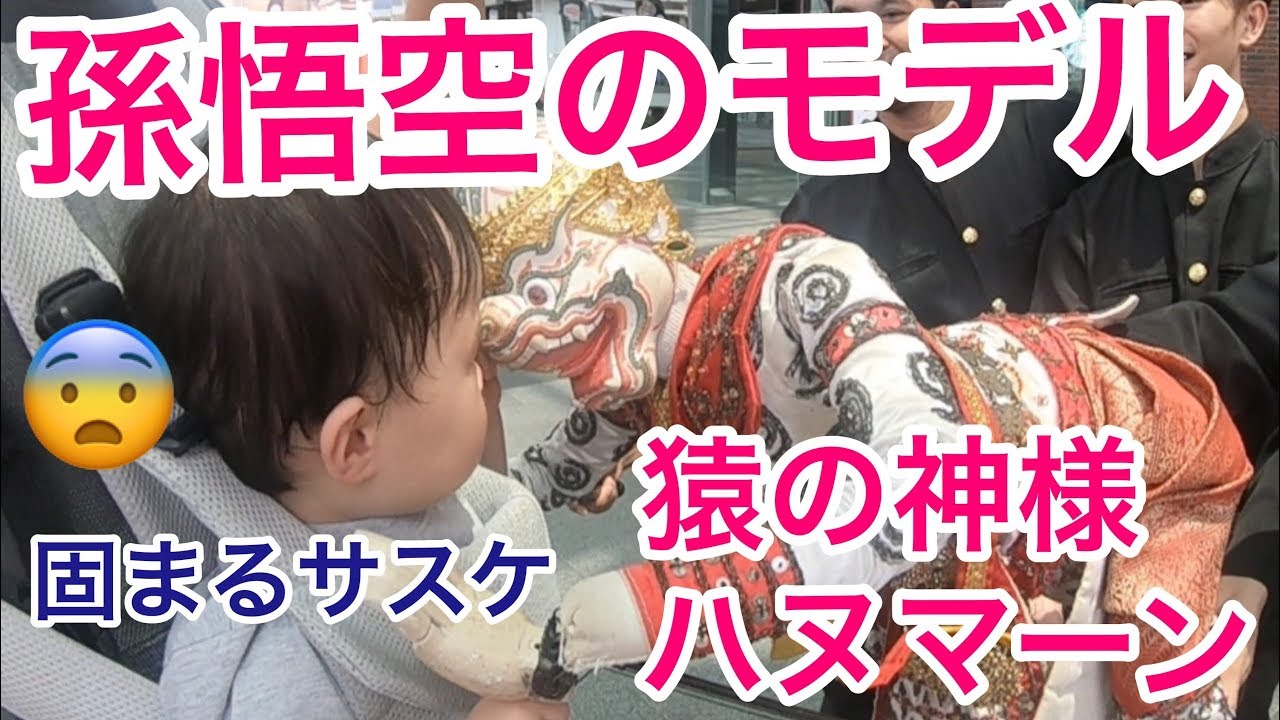 孫悟空のモデル 猿の神様ハヌマーンが目の前に 固まるサスケ1y3m Youtube