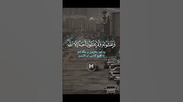 #ماهرالمعيقلي #القرآن_الكريم #آيات #راحة_نفسية #ارحقلبك #اكسبلور