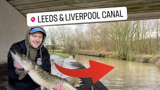 Leeds and Liverpool Canal - Pike Fishing UK