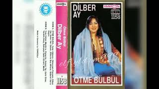 Dilber Ay - Merik Resimi