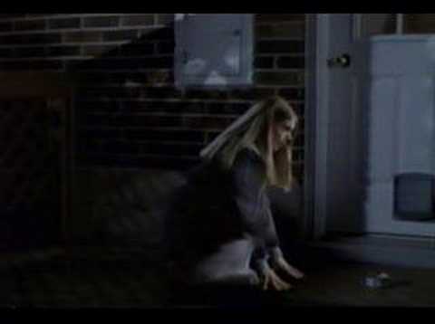 Animorphs Cat Morph - YouTube