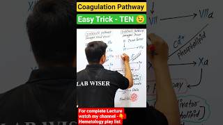 coagulation pathway trick|blood clotting process|coagulation Cascade #medical #paramedical #nursing