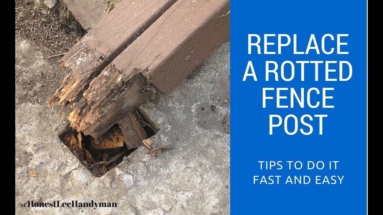 How to Replace a Rotted Fence Post  Handyman Business