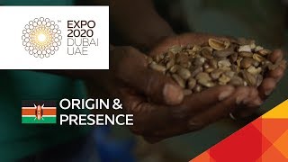 Could the croton nut be Kenya’s next fuel source? // Expo Live  – Eco Fuels, Kenya