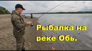 Рыбалка на реке Обь! Рыбалка на фидер !!!! Август - отличный клёв!!! Feeder fishing.