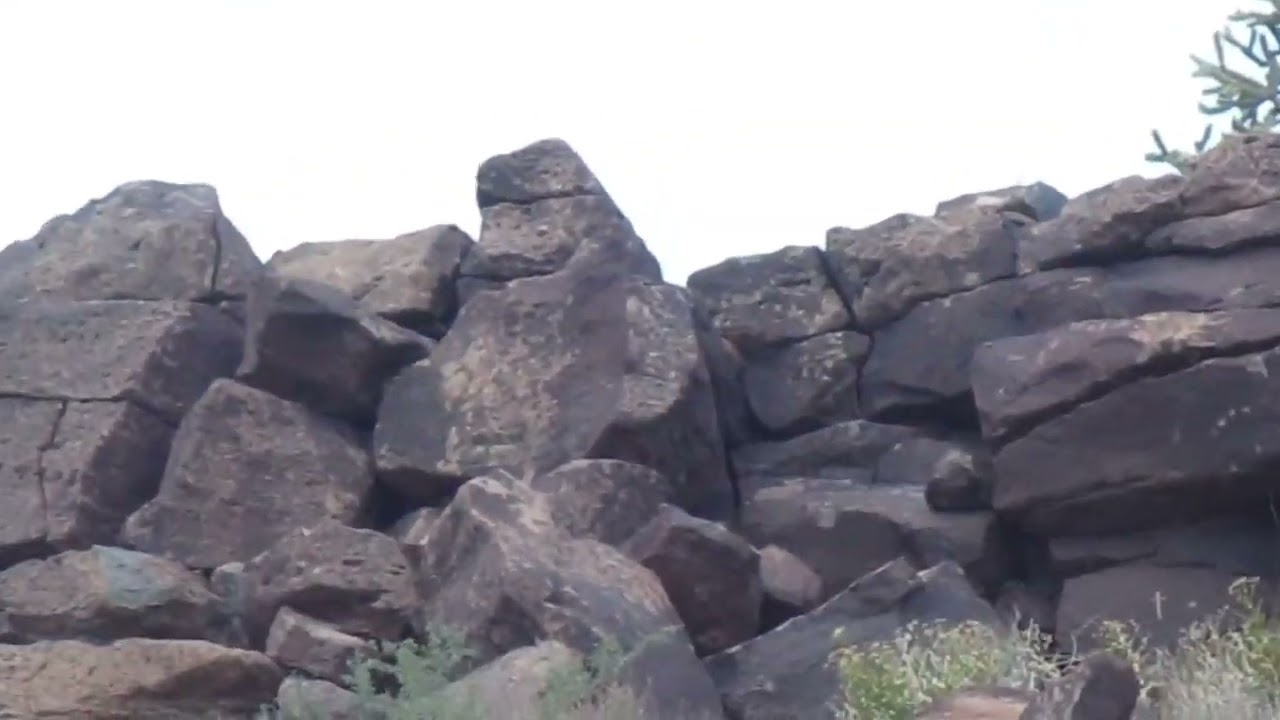 Petroglyphs 07 18 2025