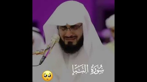 حالات واتس اب تلاوة خاشعة🎧 القارئ رعد محمد الكردي💛