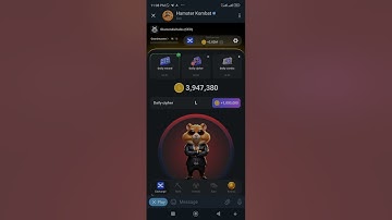 Hamster Kombat Daily Cipher/Morse code June 30.