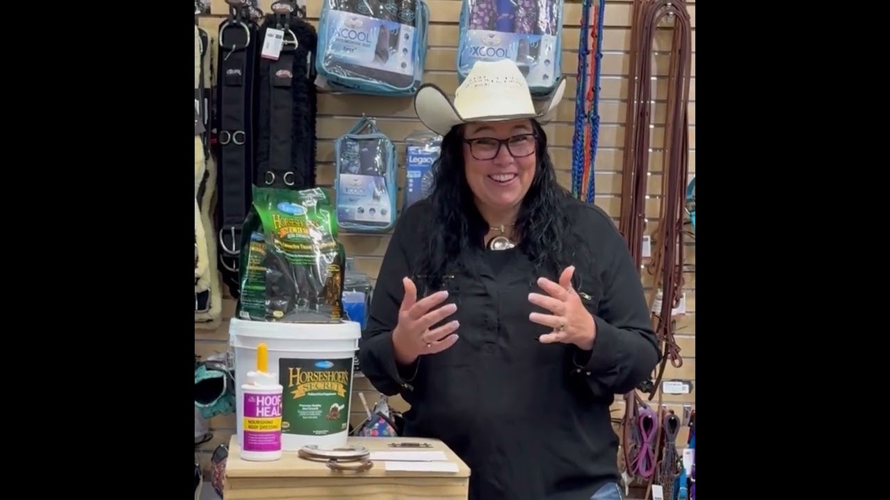 To Shoe or Not to Shoe: An Informational Guide for Horse Owners