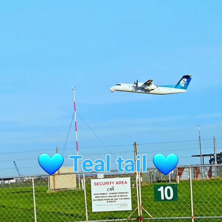 ZK-NEO 💙#Dashie Dash-8 Q-300 #AirNZ Afternoon