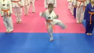 LABAN Taekwondo HARLEM SHAKE