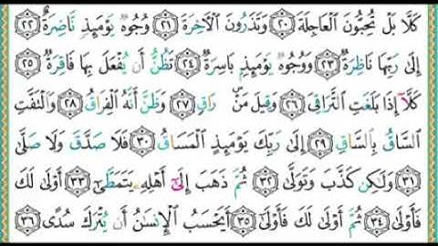 سورة القيامة ايمن سويد