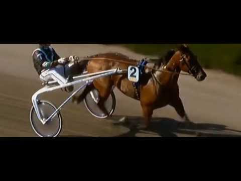 Harper Hanovers lopp 2013_Nougat Ås 1:14,2_Johnny Takter