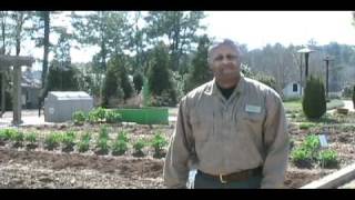 Furman's Organic Farmers - Bruce Adams and Joy Owen