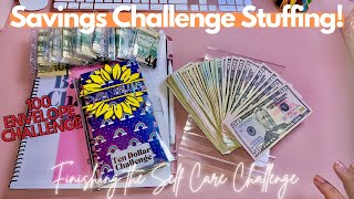 Cash Stuffing Savings Challenge | Over $20,000 in Challenges|OhmyfroBudgets