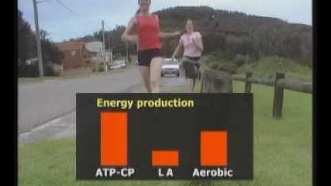 6 Interplay of energy systems – F A P Energy Systems