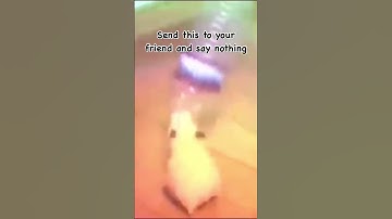 🤫 #ratdance #chesstypebeat #viralsong #viraltrend #shorts #memes #youtube #dancehall